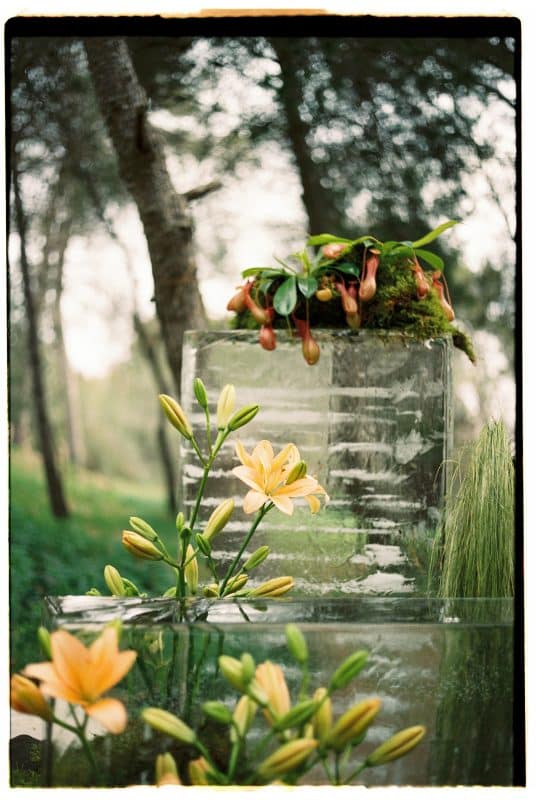 Pareja de novios en ceremonia civil al aire libre con sillas madera, flores frescas y decoración natural entre árboles.