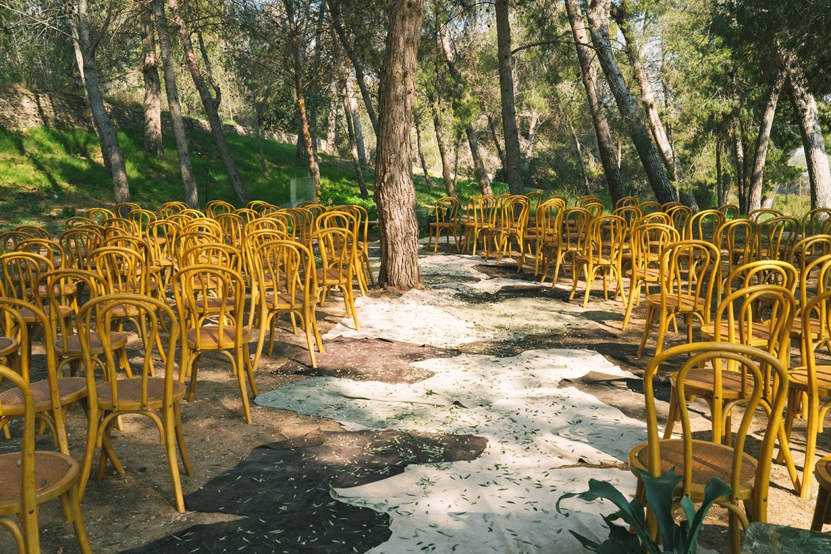 Pareja de novios en ceremonia civil al aire libre con sillas madera, flores frescas y decoración natural entre árboles.